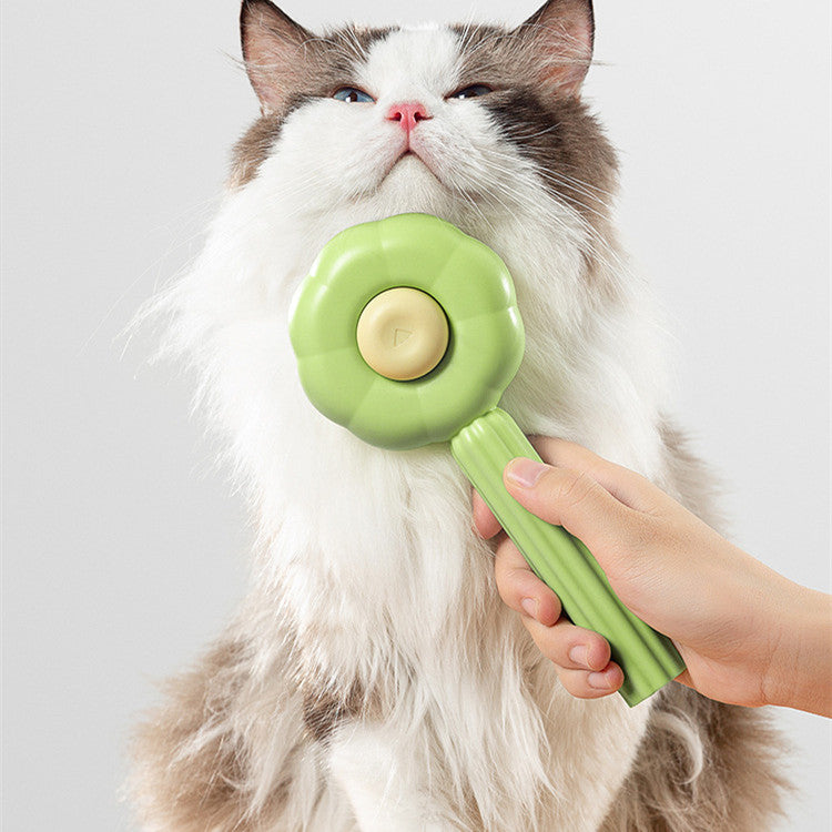 Pet Supplies