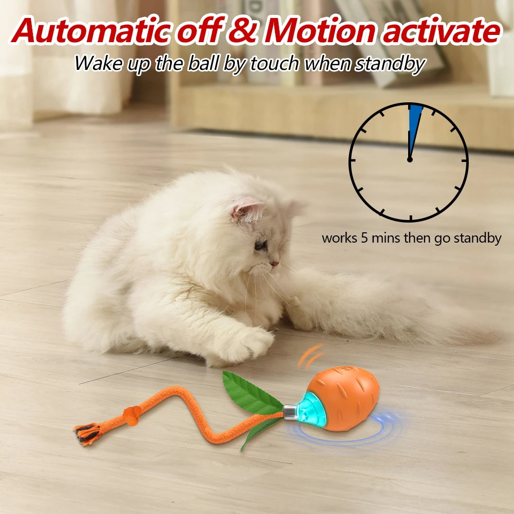 Chirping Carrot Cat Toy