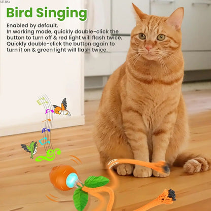 Chirping Carrot Cat Toy